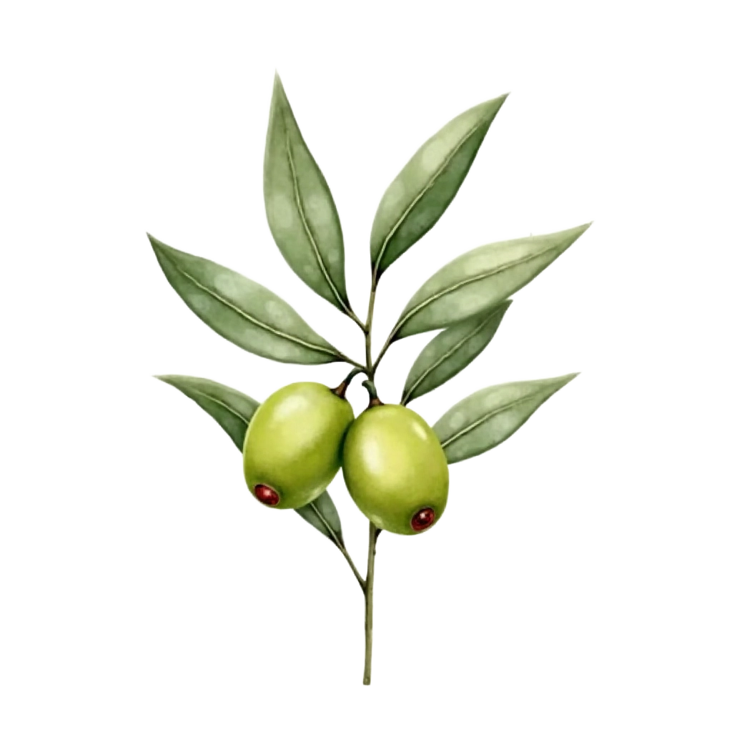 Green Olives on a Branch